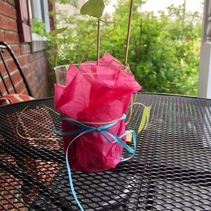 Meet your Posher, Manar